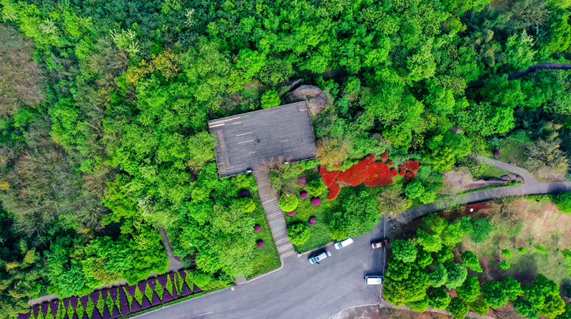 679c8d4ea110442afcb7c73904387ac3.png image.png