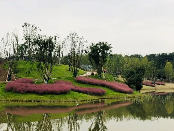 1611625672772850.jpg 微信圖片_20210126094636.jpg