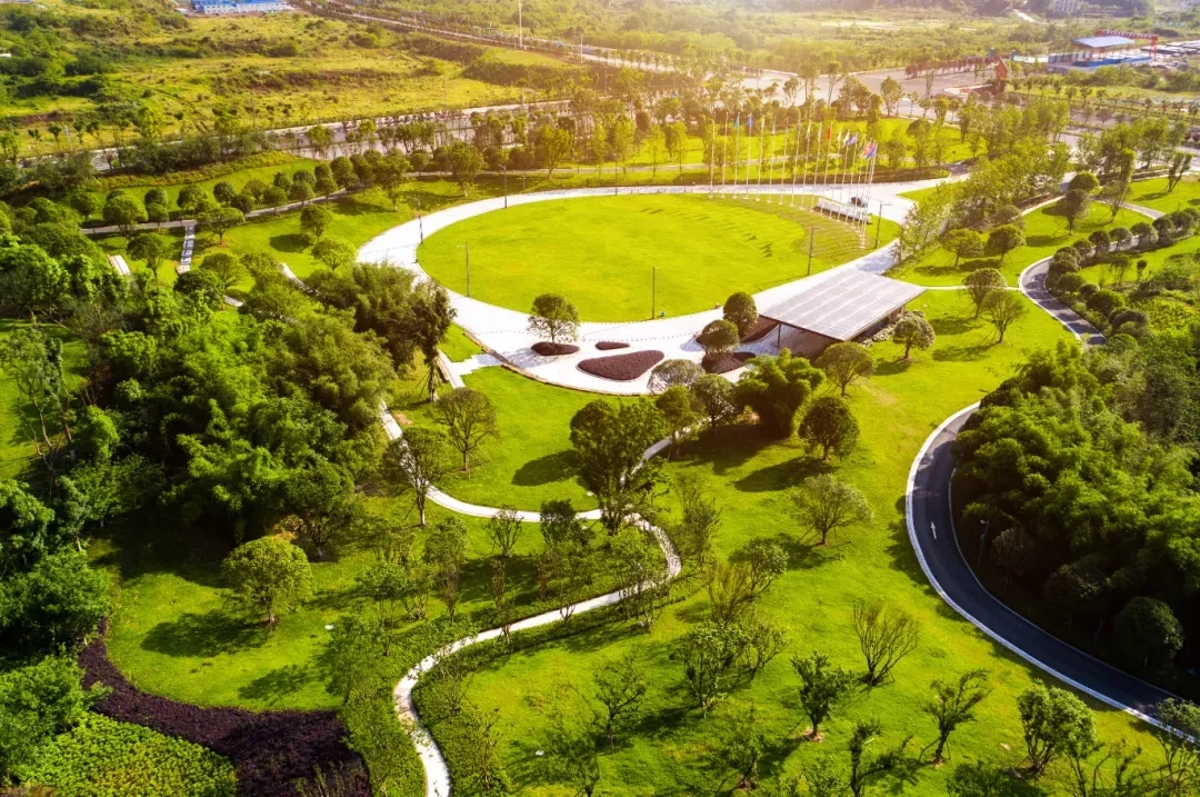 1624496965528276.jpg 640.webp (8).jpg