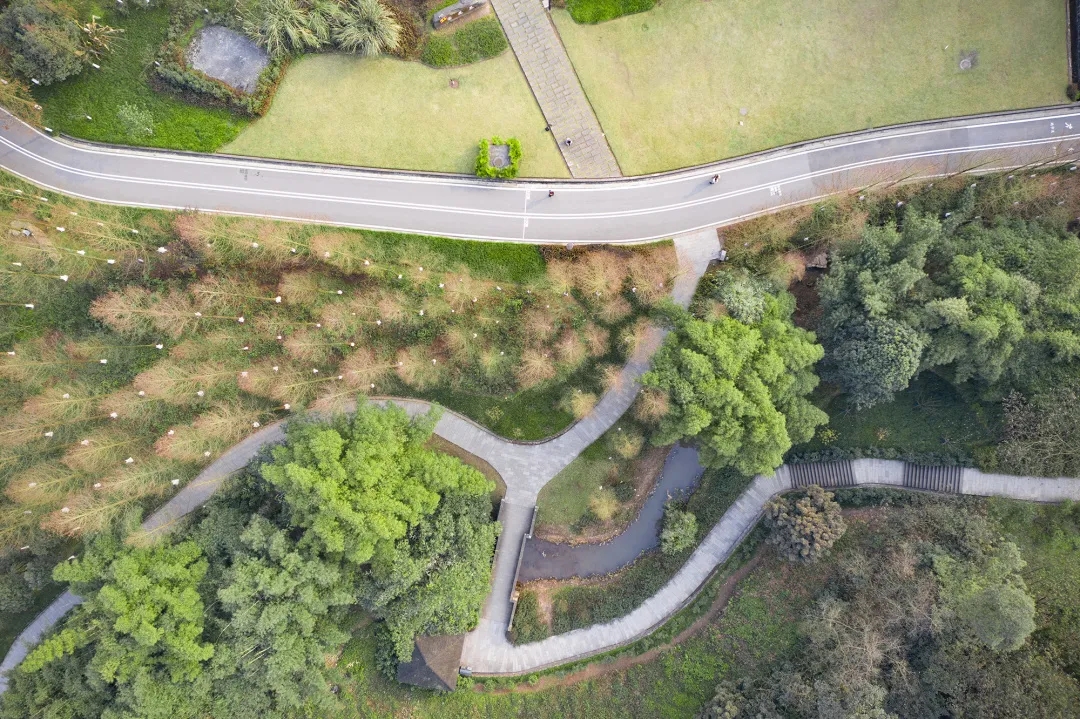 1624497012379734.jpg 640.webp (12).jpg