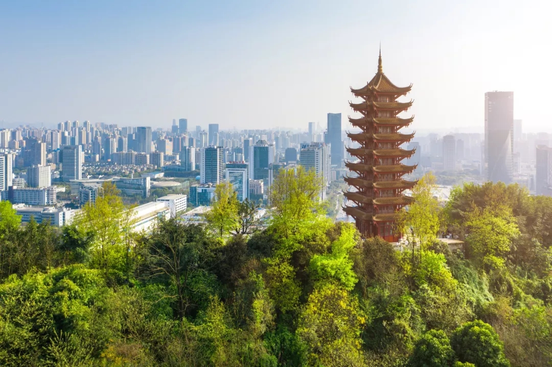 1631246194172275.jpg 640.webp (4).jpg