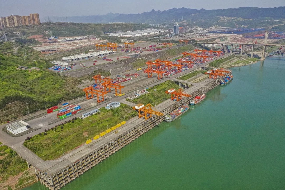 1635296250932566.jpg 640.webp (2).jpg