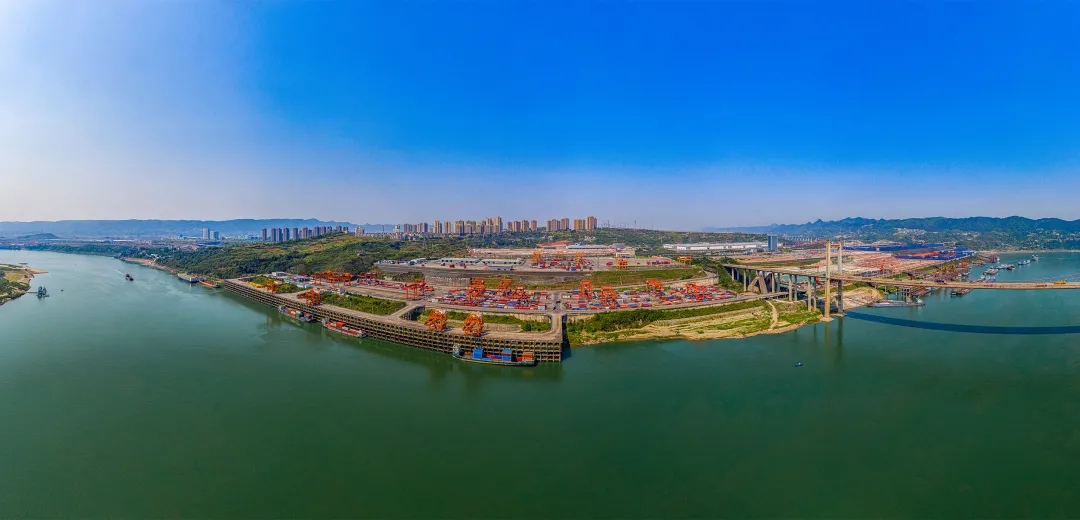 1637888533718130.jpg 640.webp (1).jpg