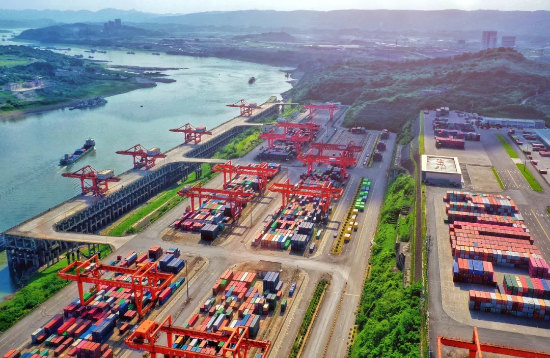 1642642105821389.jpg 640.webp (9).jpg