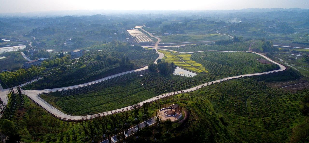 1718760171943522.jpg 微信圖片_20240619092200.jpg