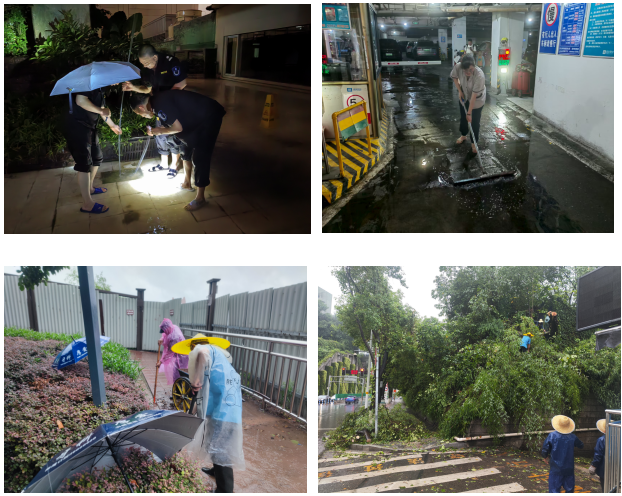 1752477497640057.jpg 1752477439529.jpg