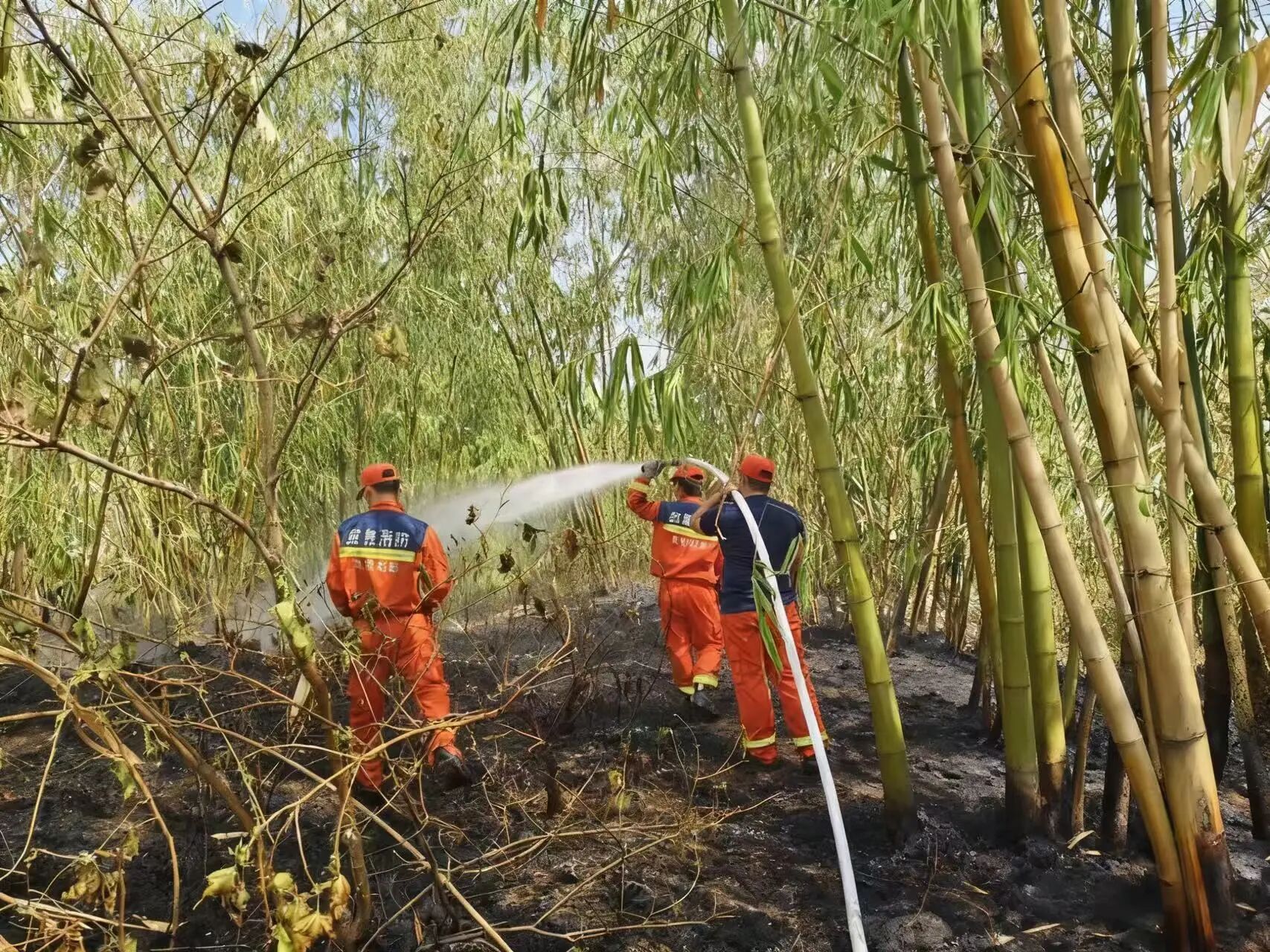 1763343882468913.jpg 微信圖片_2025-11-17_094434_190.jpg